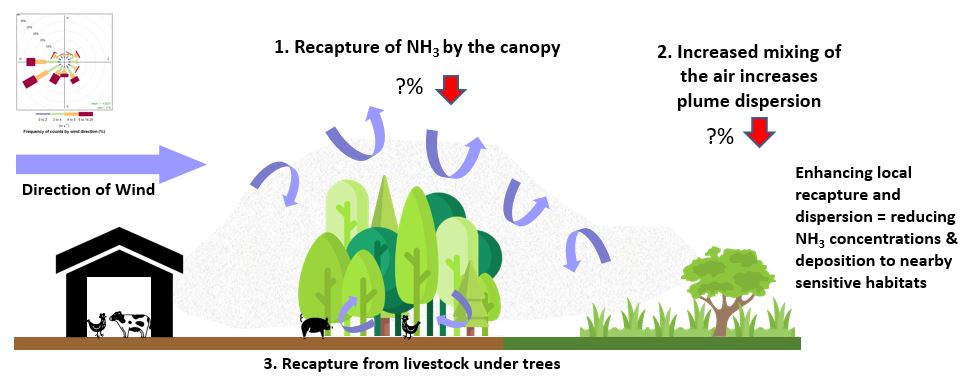 Treebelt and capture and dispersion